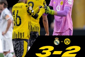 开云网页版中国官网-拜仁慕尼黑引援最新消息